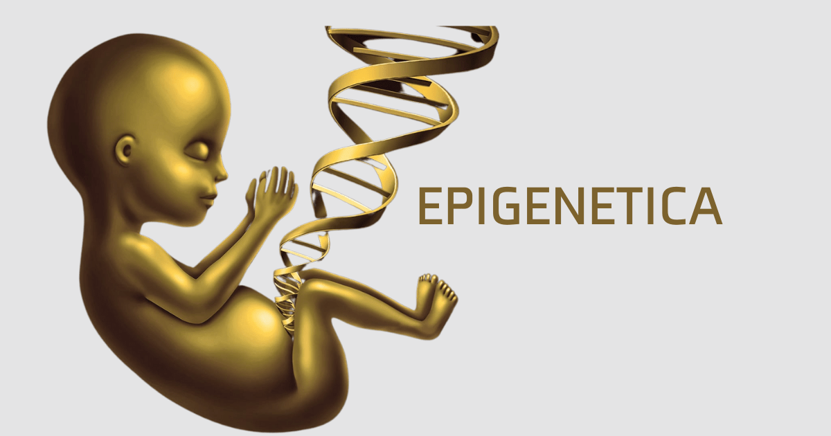 epigenetica kpni